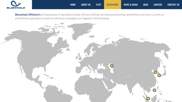 Bluewhale Offshore Pte Ltd Portfolio Screenshot 2