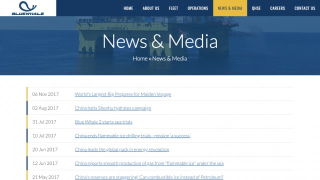 Bluewhale Offshore Pte Ltd Portfolio Screenshot 3