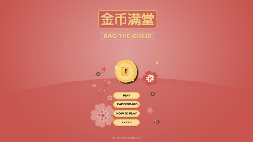 Portfolio thumbnail of Bag The Coin Game