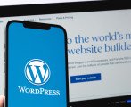 Image for Why is it important to regularly update your WordPress sites